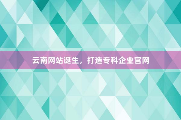 云南网站诞生，打造专科企业官网